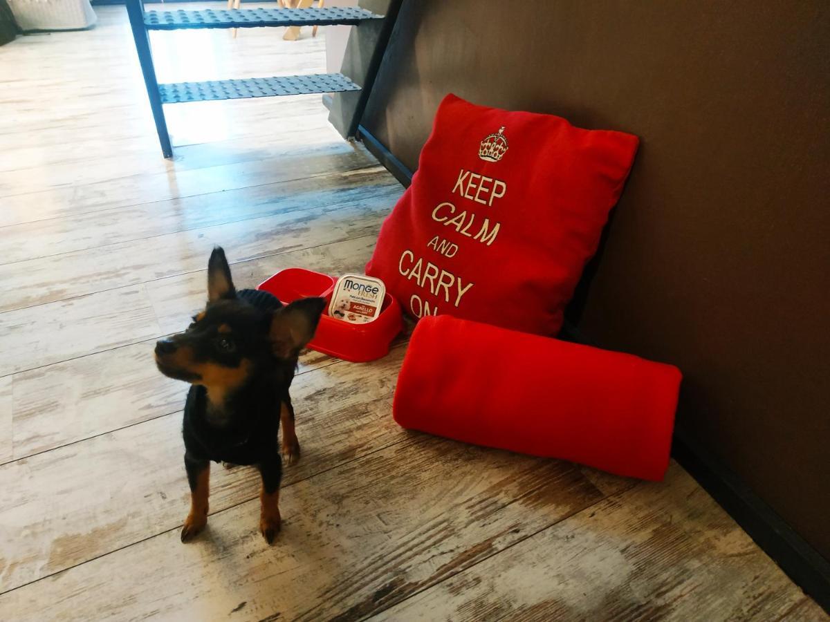 La Petite Maison De Claire คูเนโอ ภายนอก รูปภาพ